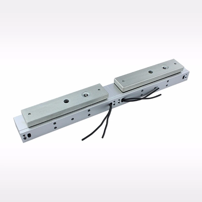 Double Standard Magnetic Lock